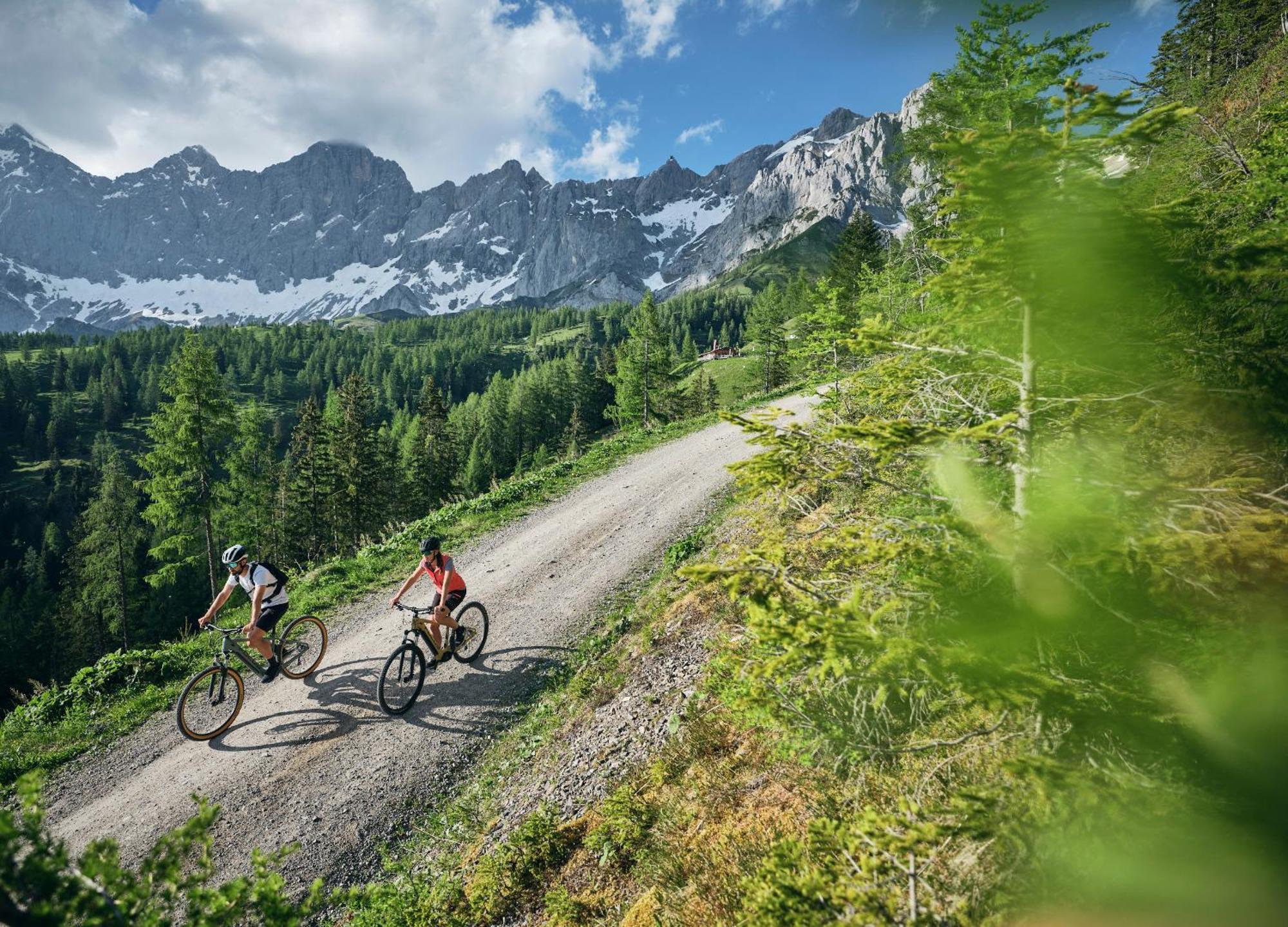 Luxury Chalets Gradenbach Near Schladming เฮาส์ อิม เอนน์สทาล ภายนอก รูปภาพ